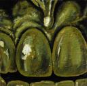 Laura #13.5 - 6×6″ - Acrylic on Canvas