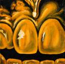 Laura #19.5 - 6×6″ - Acrylic on Canvas